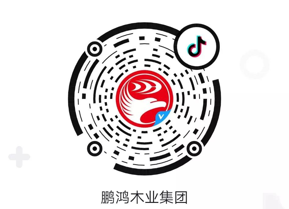 这厢有礼丨这个春节我最鸿，抖音相伴幸福年